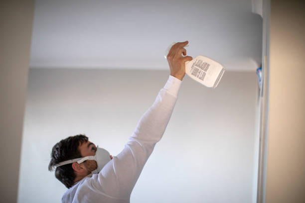 Best Same-Day Mold Removal  in Lincoln Park, NJ